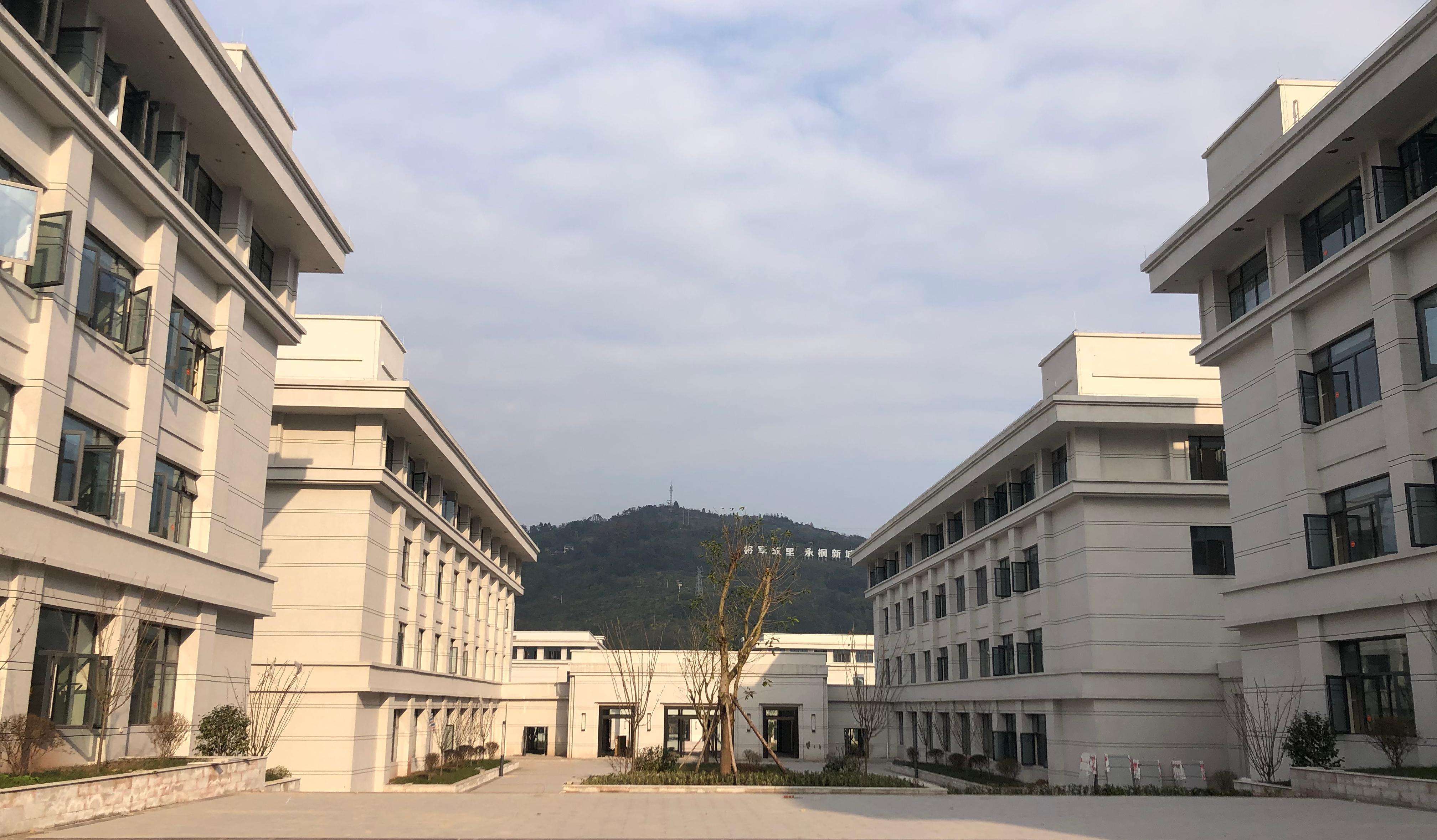 教学院系组织架构图